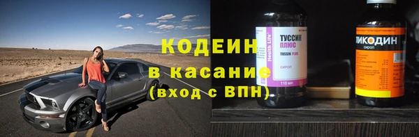 индика Алзамай