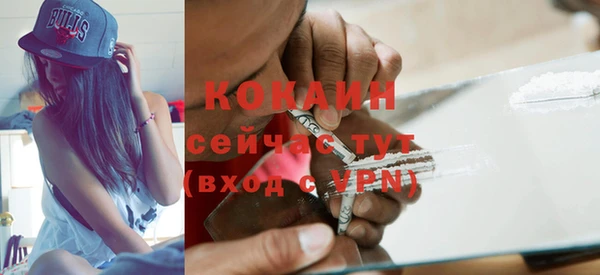 индика Алзамай