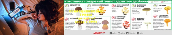 а пвп мука Алексеевка
