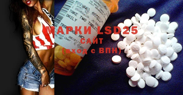 индика Алзамай