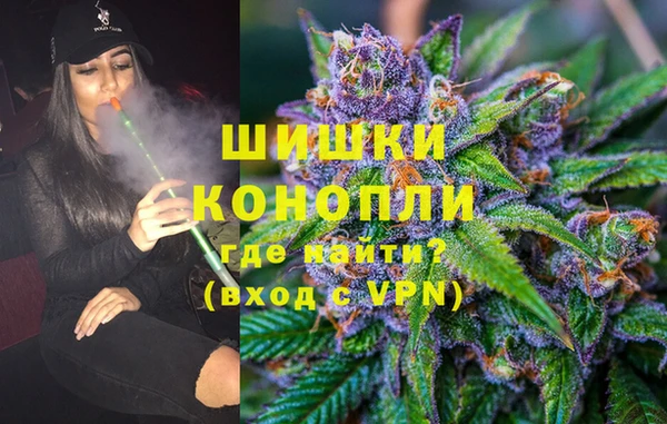 индика Алзамай