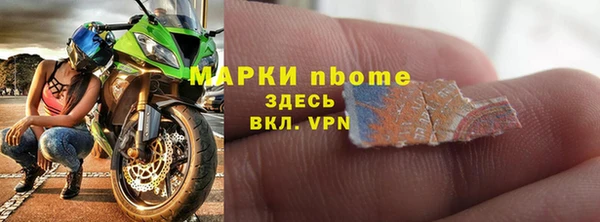индика Алзамай