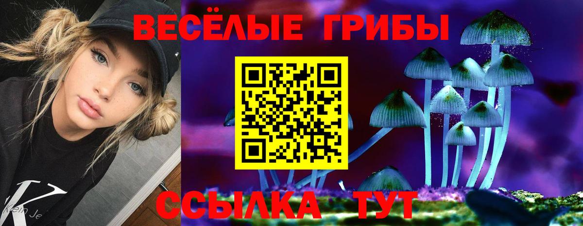 сколько стоит  Вход с VPN  Усинск  Галлюциногенные грибы Magic Shrooms 