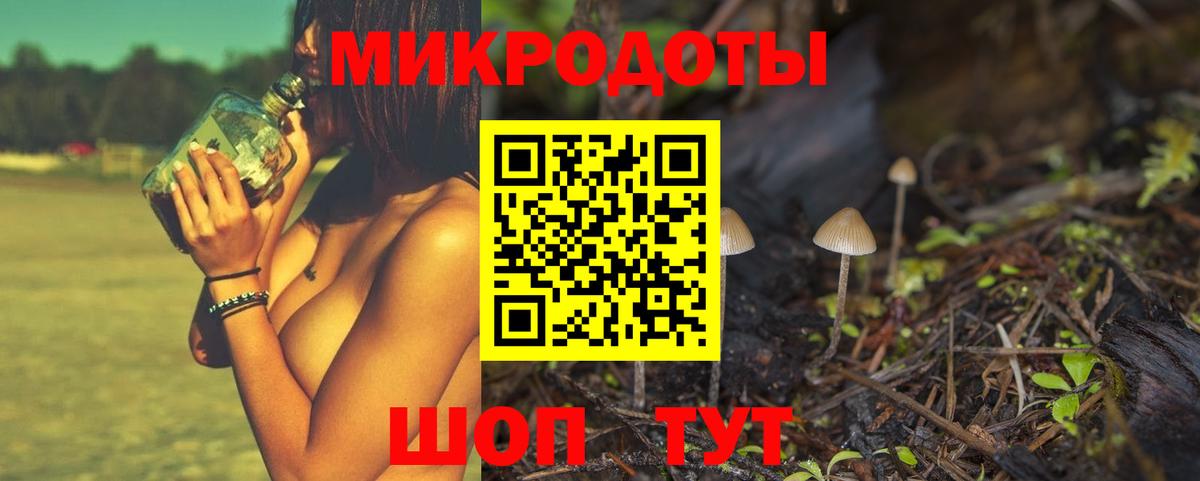 Псилоцибиновые грибы Psilocybine cubensis Усинск